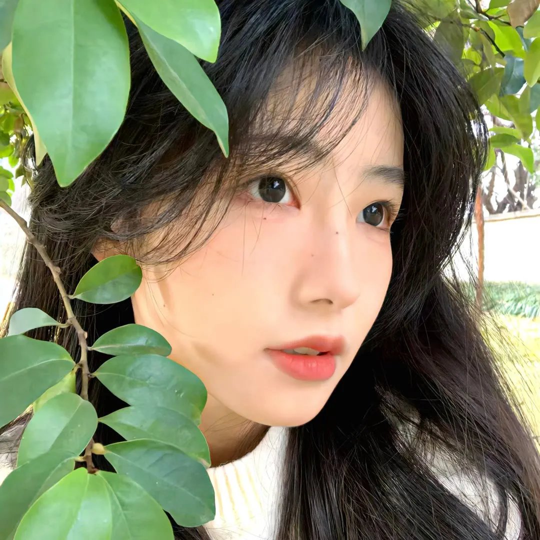 我的人生冒险